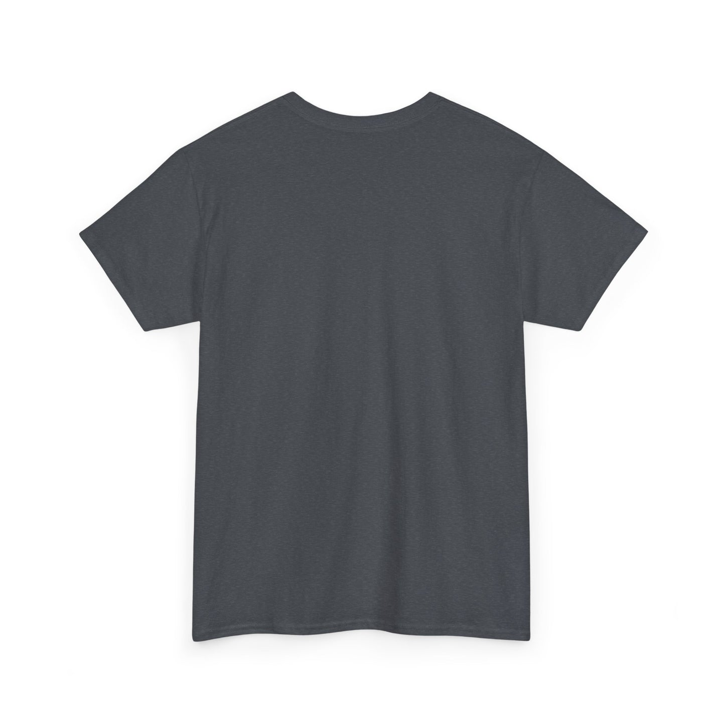 Unisex Heavy Cotton Tee ERROR 30K Message