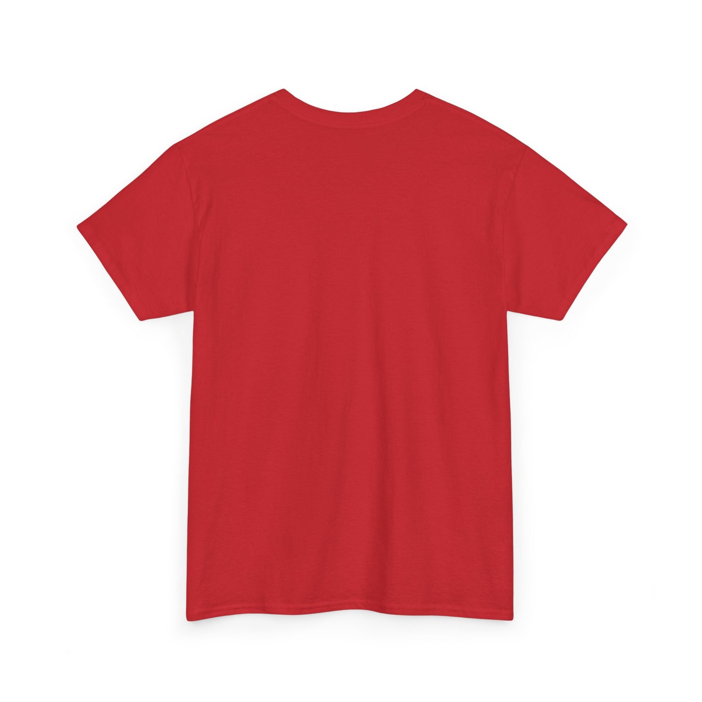 Unisex Heavy Cotton Tee ERROR 30K Message