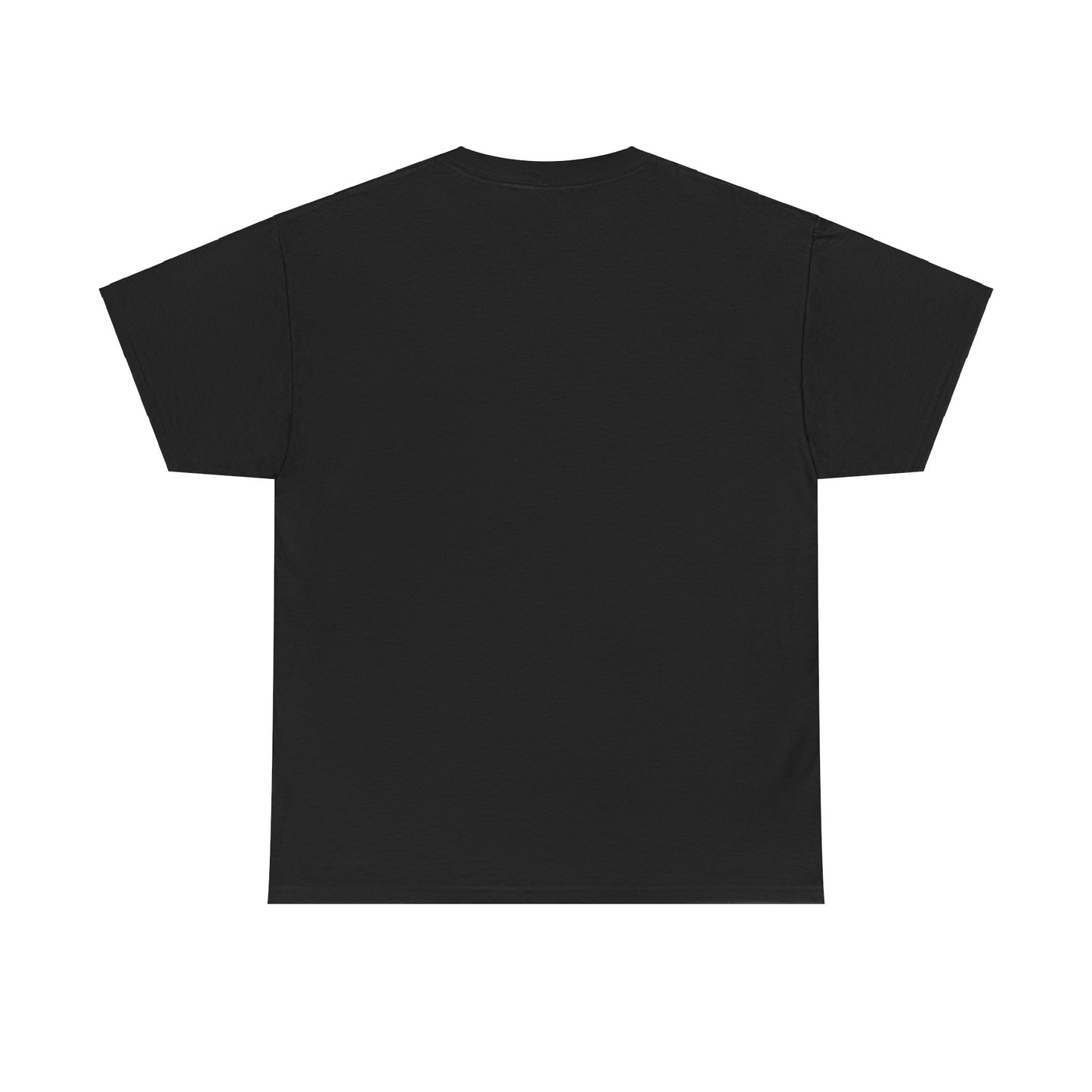 Unisex Heavy Cotton Tee ERROR 30K Message