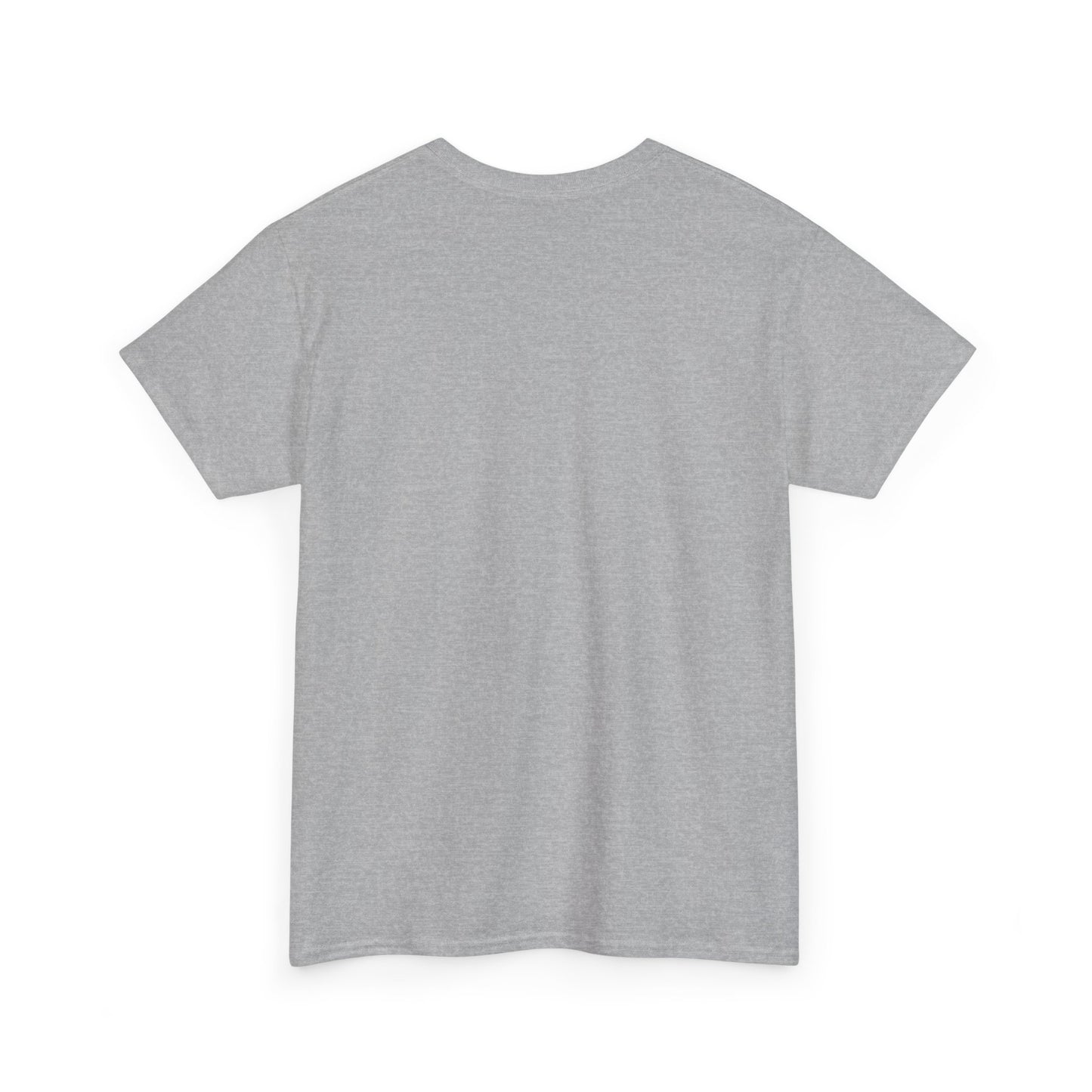 Unisex Heavy Cotton Tee ERROR 30K Message