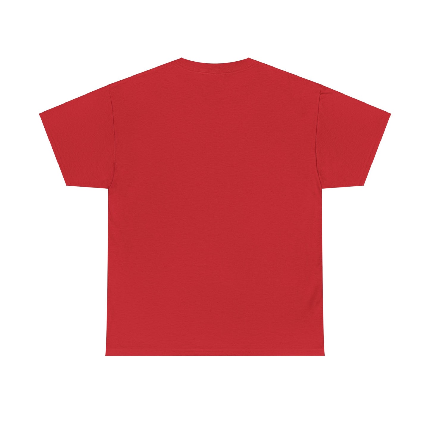 Unisex Heavy Cotton Tee ERROR 30K Message