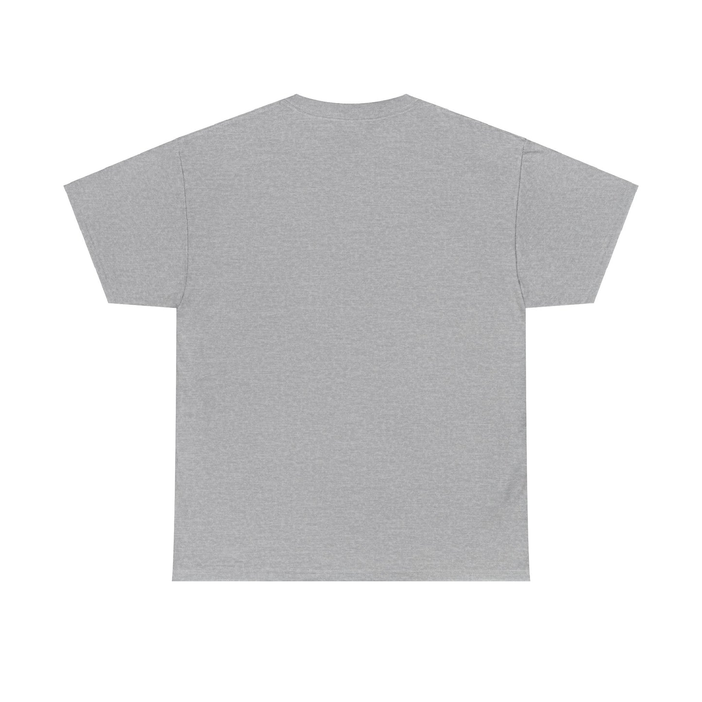 Unisex Heavy Cotton Tee ERROR 30K Message