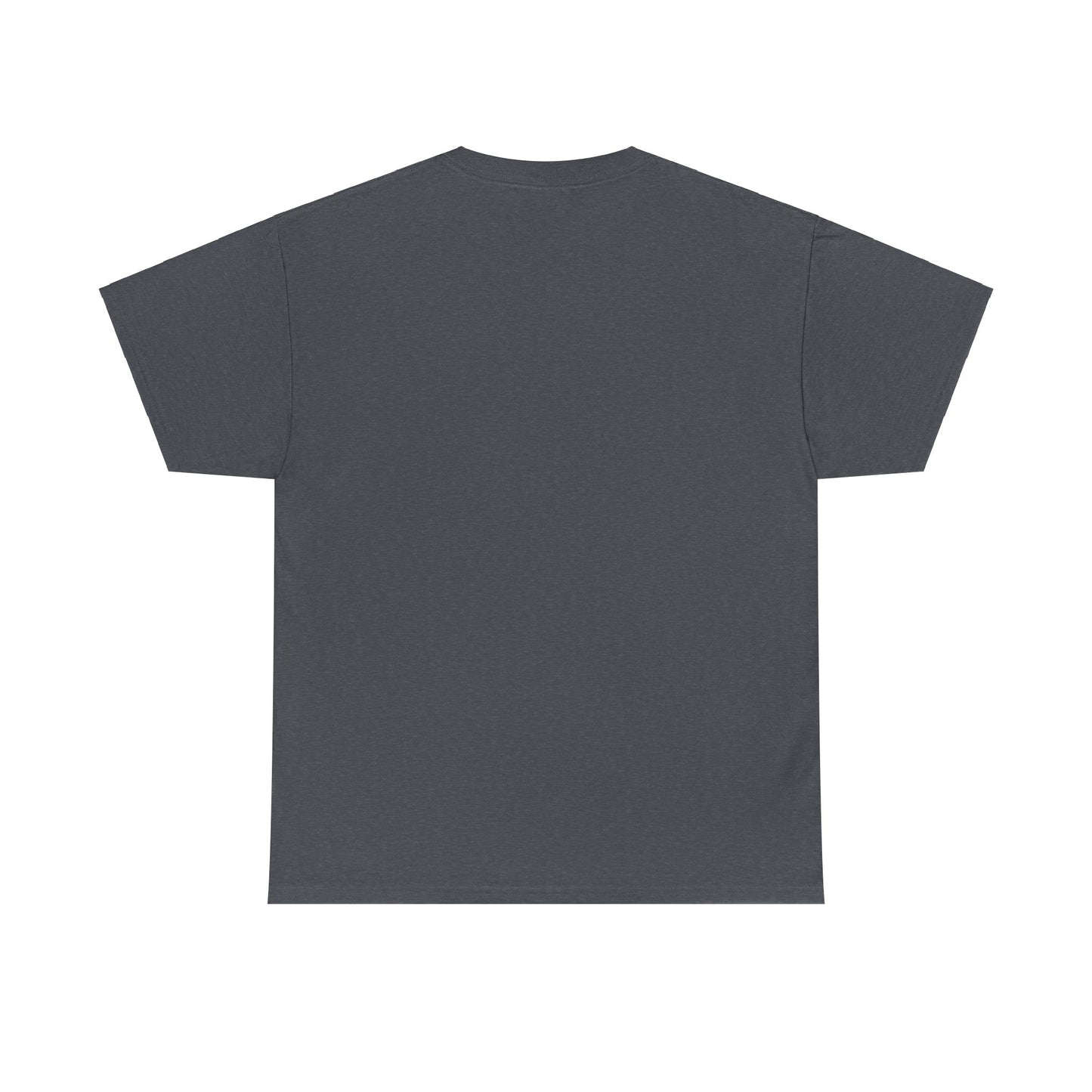 Unisex Heavy Cotton Tee ERROR 30K Message